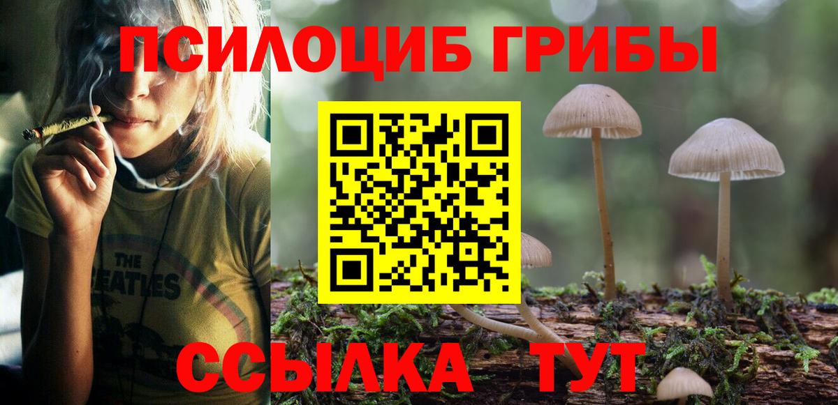 Галлюциногенные грибы Psilocybine cubensis Будённовск