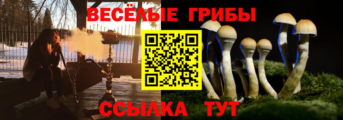Галлюциногенные грибы прущие грибы  Галлюциногенные грибы ЛСД  Будённовск  Вход с VPN 